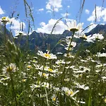 Roza * Konjic