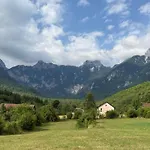 Roza Konjic