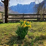 Roza Apartament