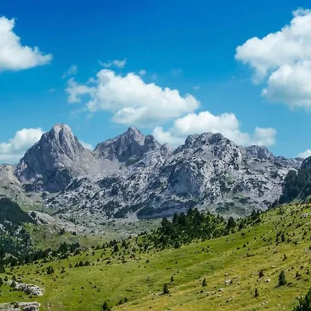 アパート Roza コニツ