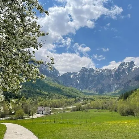 Roza * Konjic