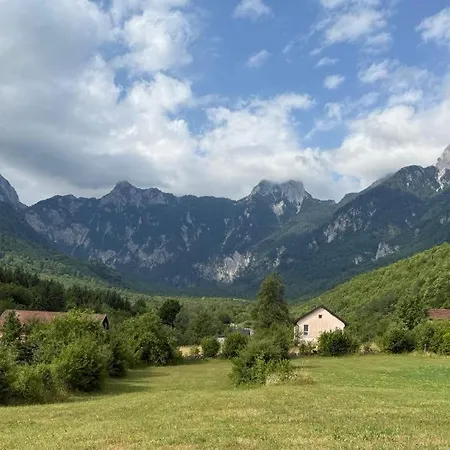 Roza Konjic