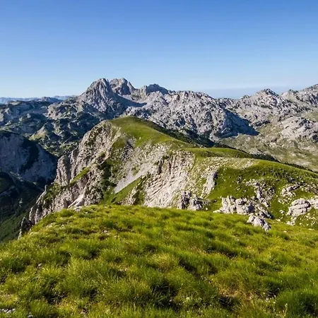 شقة Roza كونييتش