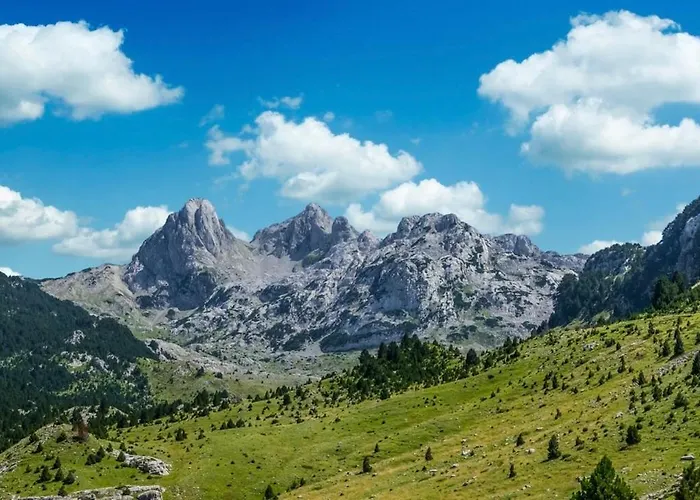 شقة Roza كونييتش