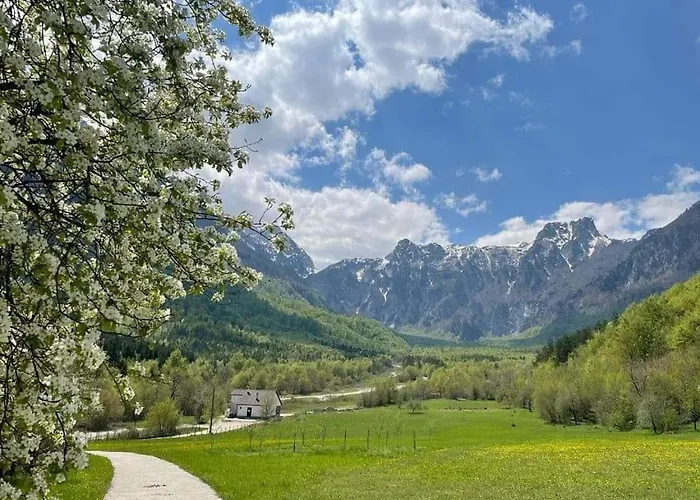 Roza * كونييتش