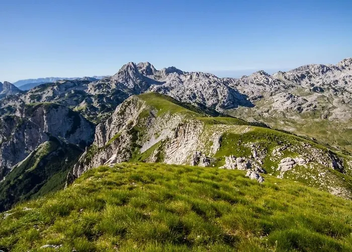 شقة Roza كونييتش